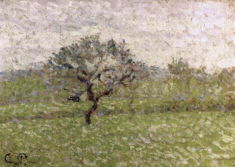 Apple, Camille Pissarro